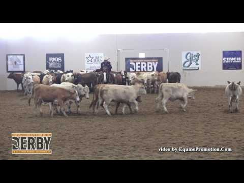 Brother Jackson ridden by Ken L. Wold  - 2017 NRCHA Derby (Herd Work, Open Bridle Spec.)