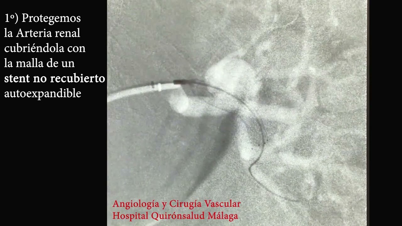 Maria Luisa Robles Martín-5