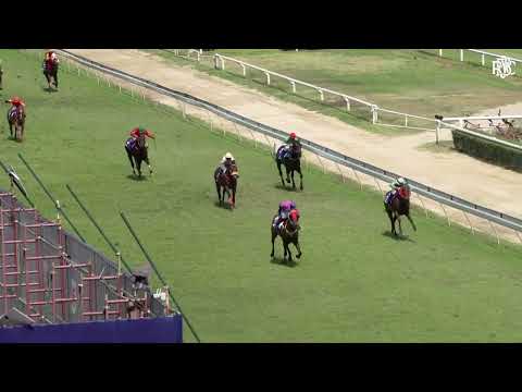 LOVE BUDDY - 01/02/2026 - Race 2  - The Grace Stakes (Country-Bred Class 4)