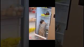 😂what are she doing🍧 inside the refrigerator | Fridge | funny baby | babies world | babies |