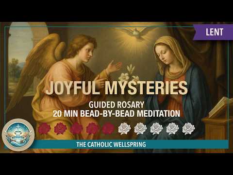 Joyful Mysteries Rosary | February 21, 2026 | Virtual Rosary