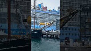 Nothing Prepares You for This Sydney Harbour Royal Caribbean Cruise Ship Reveal at Sunrise