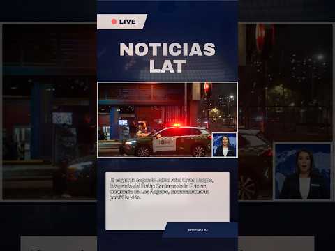 Tragedia en Biobío: Carabinero fallece en procedimiento en Quilleco