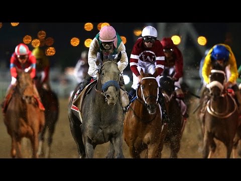 Arrogate (USA) - 2017 Dubai World Cup