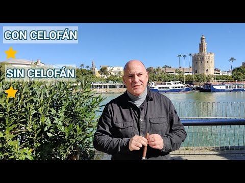 TEMP 4 EP 02 ¿CELOFÁN SI, CELOFÁN NO?