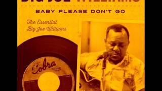 Big Joe Williams - Baby Please Don't Go.