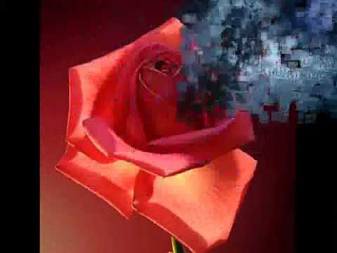 Tehlikeli Madde Basardin