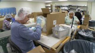 Conclusion: Thank You, Bosma