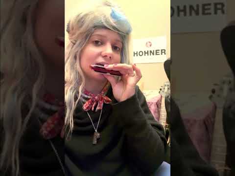 Overblows tutorial - Harmonica by Rachelle Plas