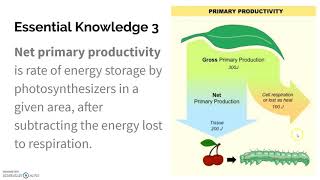 1.8 Primary Productivity