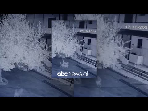 Qeni e ndjeu pak sekonda me heret, momenti kur termeti “shkundi” Shqiperine | ABC News Albania