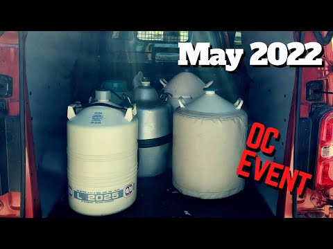 Overclocking Event in Espoo in May 2022 - Intel i3 12300 at 6.1GHz, 8086K at 6.6GHz+ Result Summary