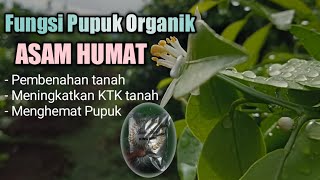 Download lagu Pupuk Asam Humat mp3