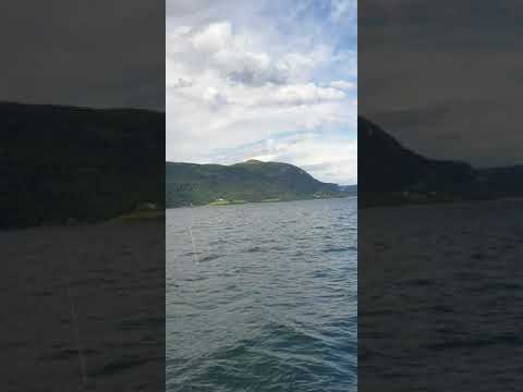 Fra Vanvikan til Trondheim juli 2021 (2)