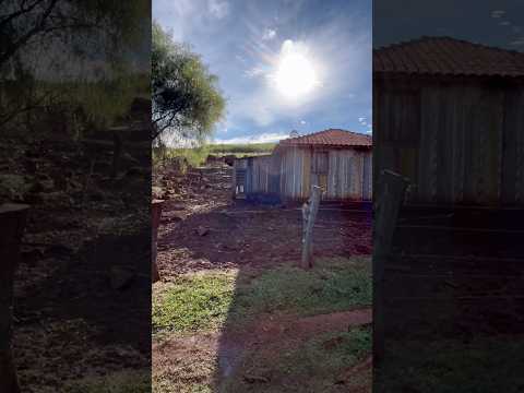 Interior do estado do Paraná, Ivaiporã #roca #sitio