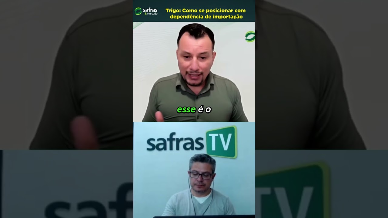 O mercado de trigo 2026/27 já começa a exigir atenção estratégica.