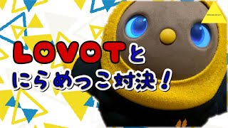 【LOVOT】LOVOTとにらめっこしてみた【らぼっと】