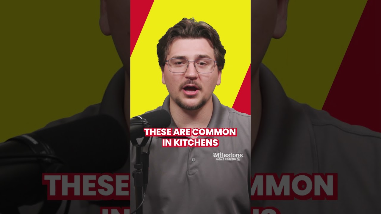 The Important In Fixing Broken Or Faulty Outlets?