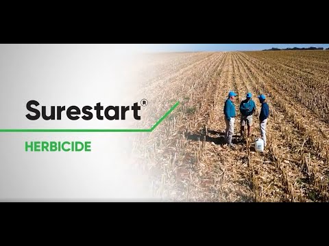 Goodbye weeds, hello healthy crops! | Corteva SureStart®