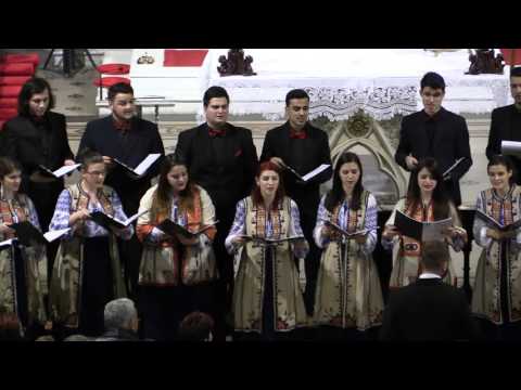 Florile Dalbe - Corul Regal