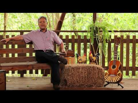 Programa Siqueira Martins | Assista à íntegra de hoje - 02/11/2025