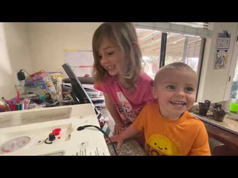 Hatching Chicks: Day 21 Pip to Peep  #BabyChicks #HatchingChicks #IncubatingChicks