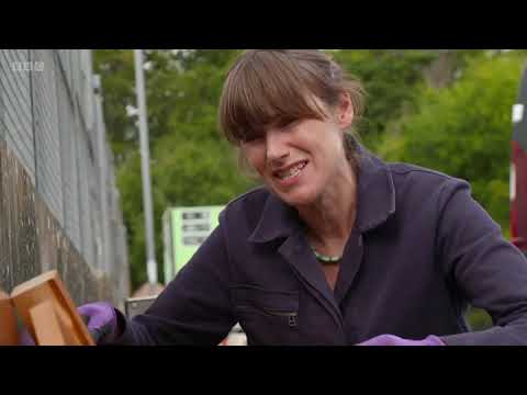 Money for Nothing S13E10, Money for Nothing full episodes