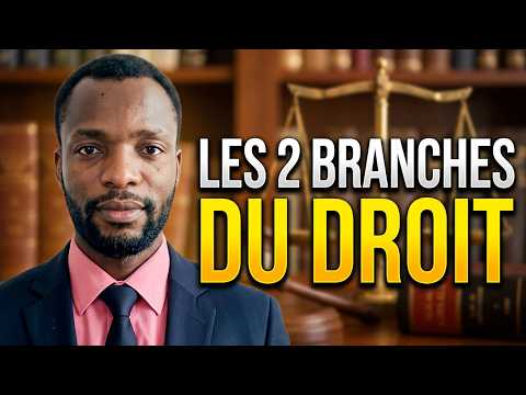 Le Droit Administratif en RD Congo Rôles Fonctions et Enjeux