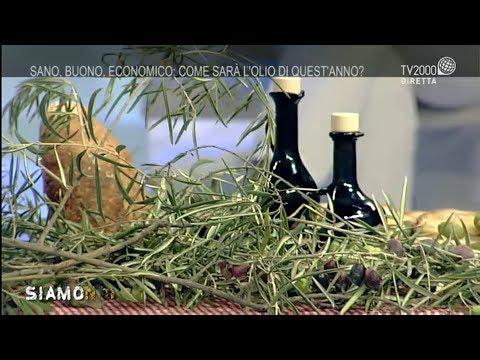 Siamo Noi dell'11 ottobre 2019 - Olio, inizia la raccolta. Come sceglierlo?