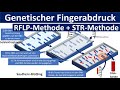 Genetischer Fingerabdruck RFLP Methode STR Methode Gelelektrophorese Gentechnik Oberstufe