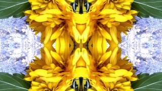 Long Distance Calling - Fire in the Mountain (HD)