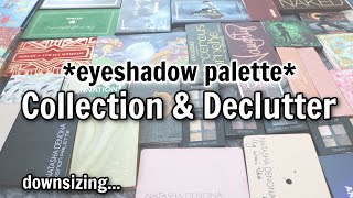 My Entire Palette Collection | Big Declutter 2025 🤎✨