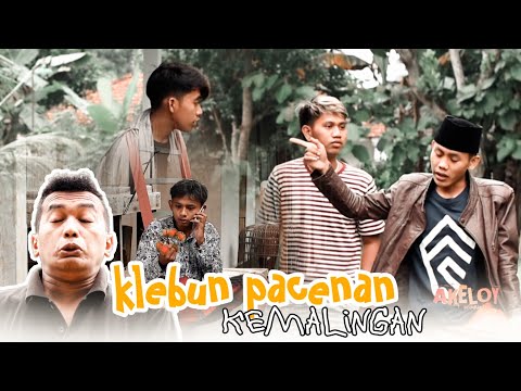 klebun-pacenan-kamalengan