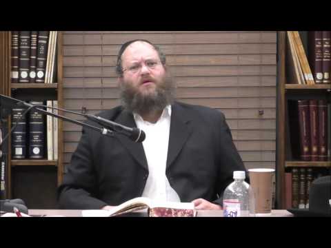 Tanya Chapter 16 Part 3 - Rabbi Naftali Silberberg