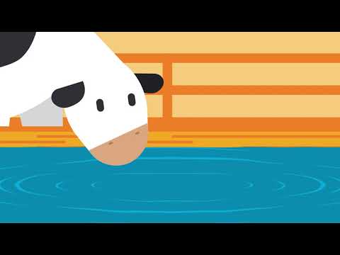 Farm to Table: How Farmers Recycle and Upcycle on a Dairy