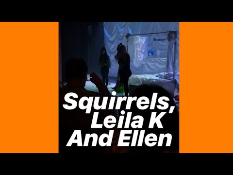 181112 SQUIRRELS, LEILA K AND ELLEN