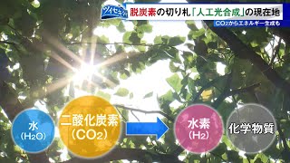 Download the video "脱炭素社会の切り札「人工光合成」が描く未来は…　CO2からエネルギー生成も"