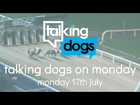 Talking Dogs on Monday 17th July 2023