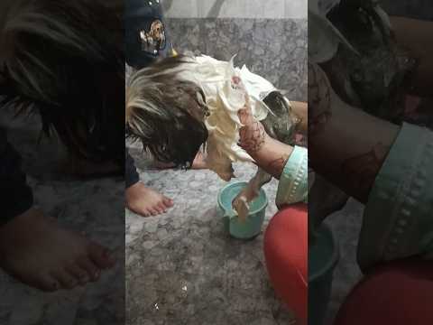 Zuni first bath she enjoying it to be continue in next part#animals #dog #doglover #zuni #cat #pets