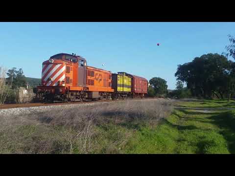 Comboio n.º 31602 - Vale de Cortiças