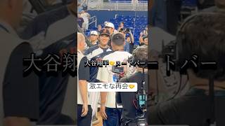 ヌートバー選手に会えて大谷翔平選手、めちゃうれしそうでした#侍ジャパン #WBC #大谷翔平 #ヌートバー