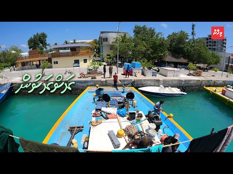 ރާއްޖެ އަތުނުވެދާނެ ކަމުގެ ބިރުގައި އަށް ގަޑިއިރު