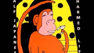 Half Japanese - Trouble in the Water