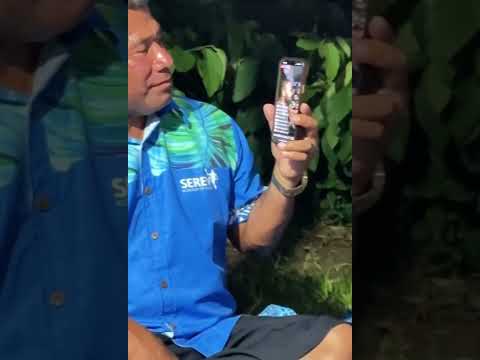 Cagi Ni Delai Yatova Vuni Yaloqu Au Loloma Yani - Ft Watadralagi & Master Ledua Feb 2025