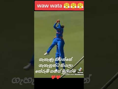 kohomd mole #cricketnews #cricketfans #viral #cricketlover #crickethighlights#cricket#cricketpissuwa