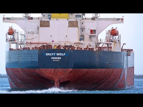 BIG SHIPS AT ROTTERDAM PORT - 4K SHIPSPOTTING JANAUARY 2023