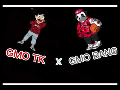 GMO Flow- GMO Tk x GMO Bang