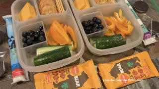 What I Packed In My Kid's School Lunches