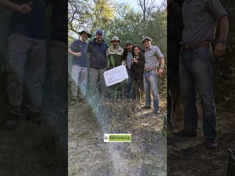 Bajar la carga no fue una pérdida, fue la inversión que hizo crecer el campo 🌱