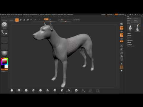 ZBrushCore - Paul Gaboury - Chapter 3 Navigating in ZBrushCore